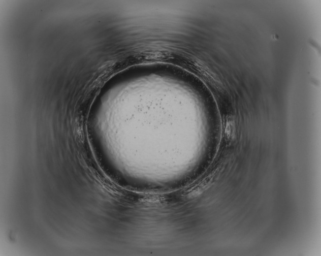 X0000091240771200708301538