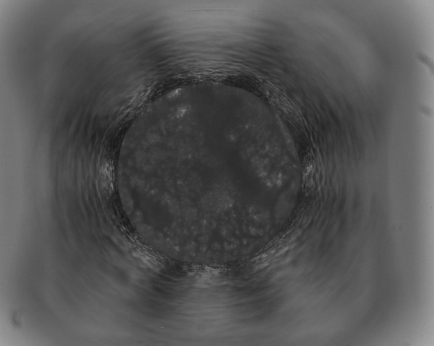 X0000091240772200708301538