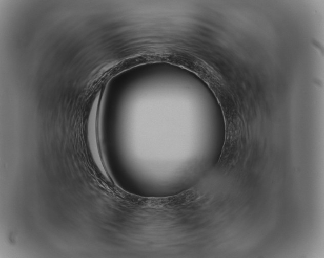 X0000091240773200708301538