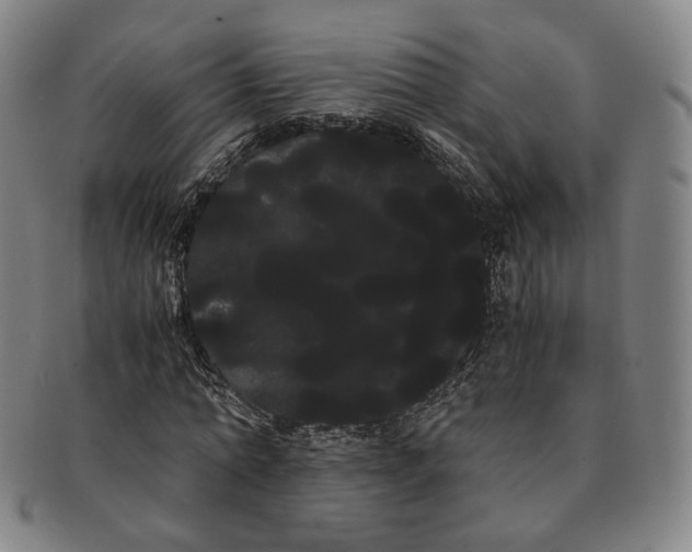 X0000091240774200708301538