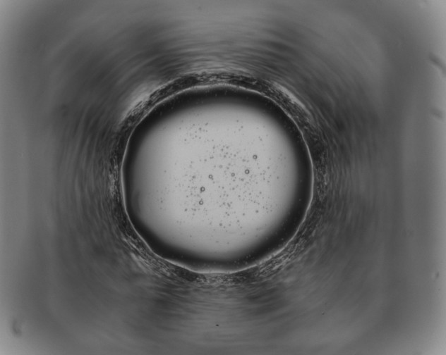 X0000091240775200708301538