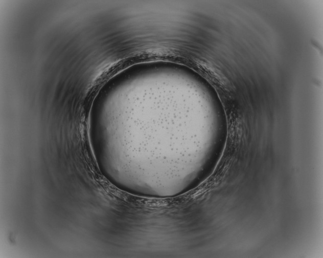 X0000091240776200708301538