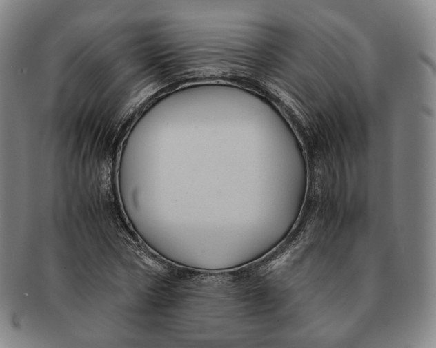 X0000091240778200708301537