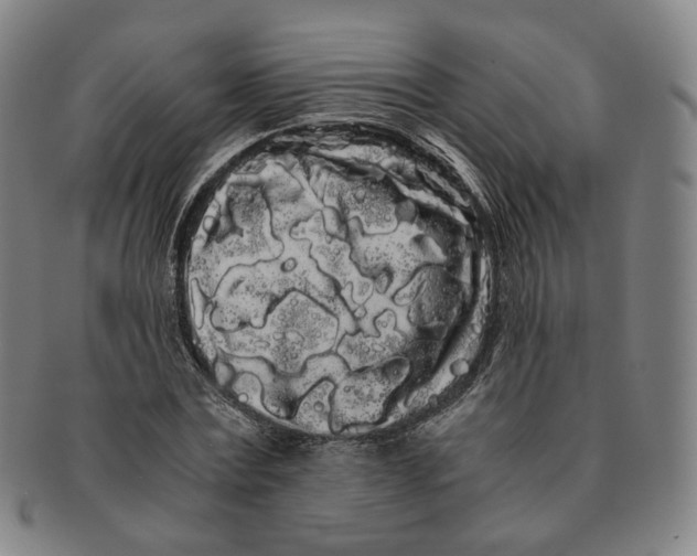 X0000091240779200708301537