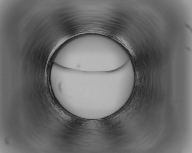 X0000091240780200708301537