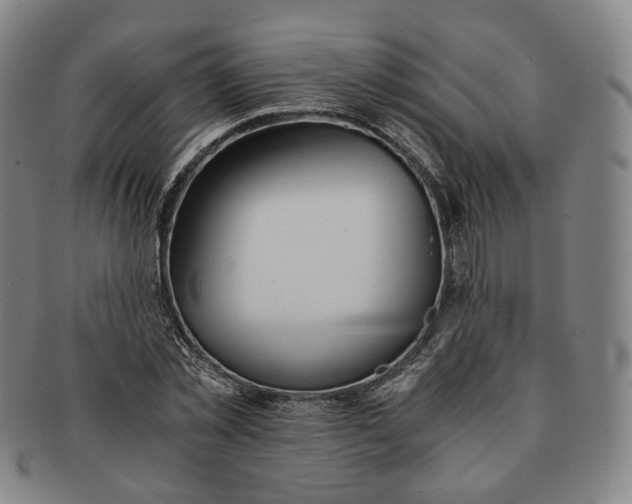 X0000091240781200708301537