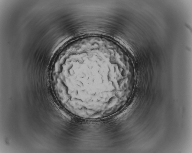 X0000091240782200708301537