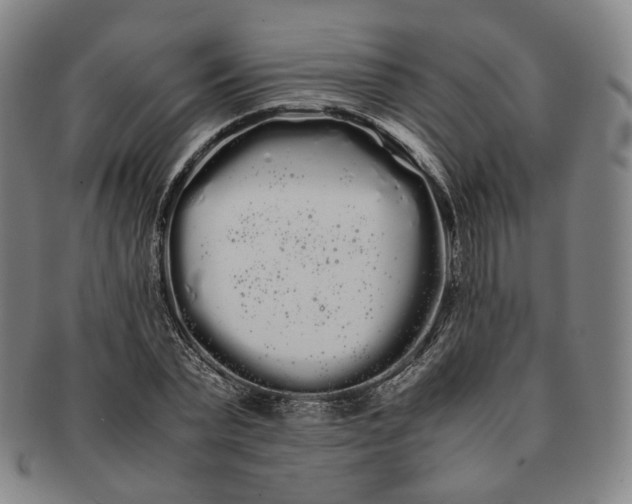 X0000091240783200708301537