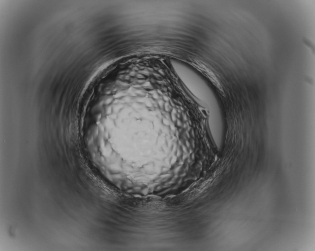 X0000091240784200708301537