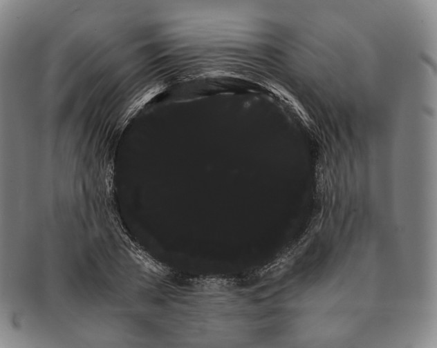 X0000091240785200708301537