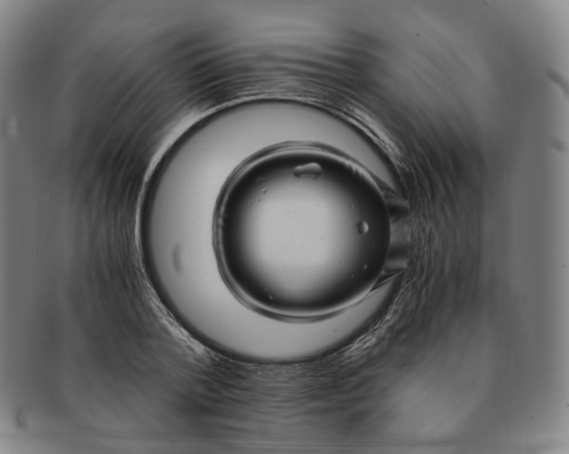 X0000091240788200708301537