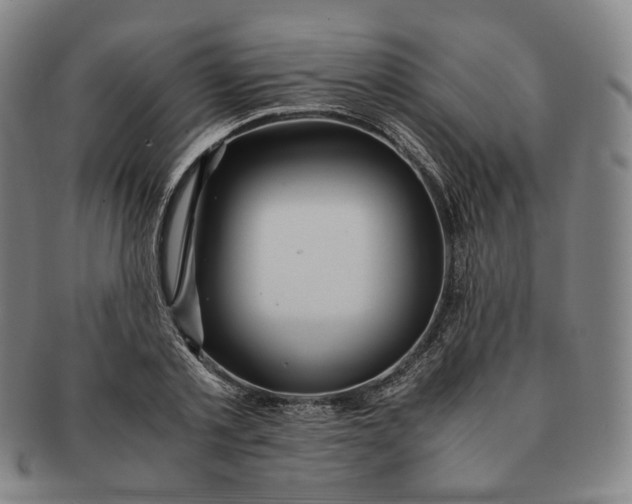 X0000091240789200708301537