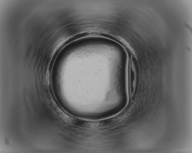 X0000091240791200708301537