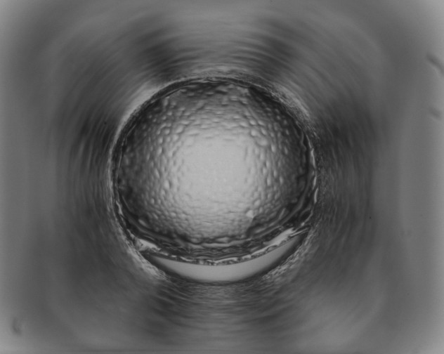 X0000091240792200708301537