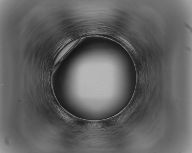 X0000091240793200708301537