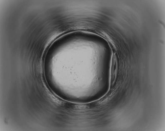 X0000091240795200708301537