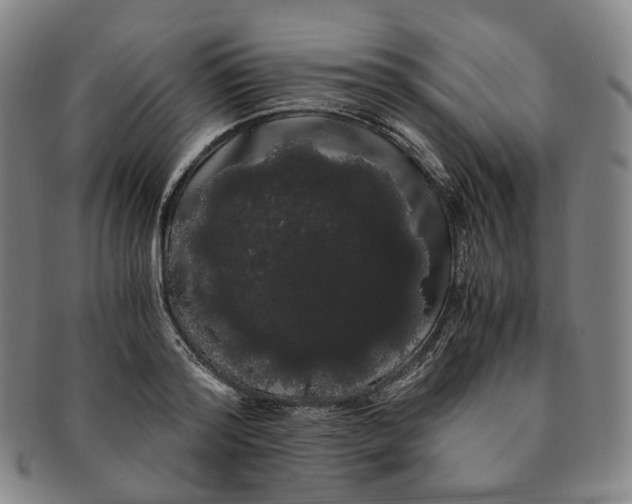 X0000091240796200708301537