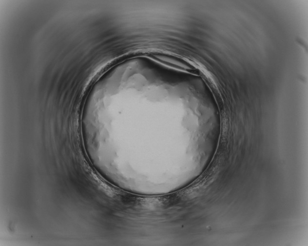 X0000091240799200708301537