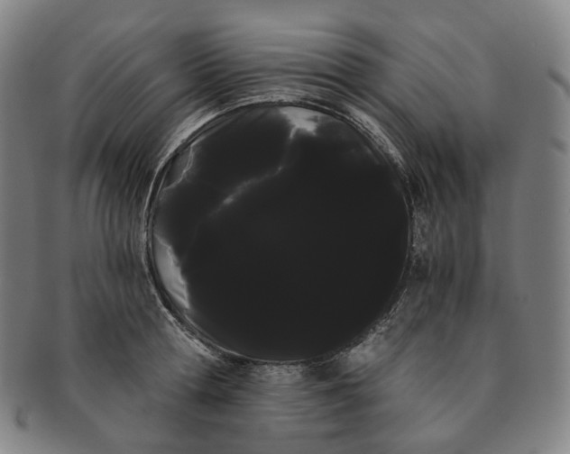 X0000091240802200708301537