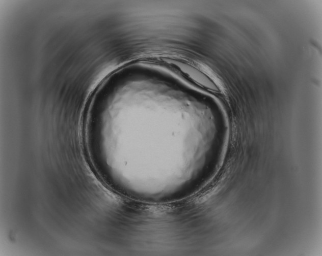 X0000091240803200708301537