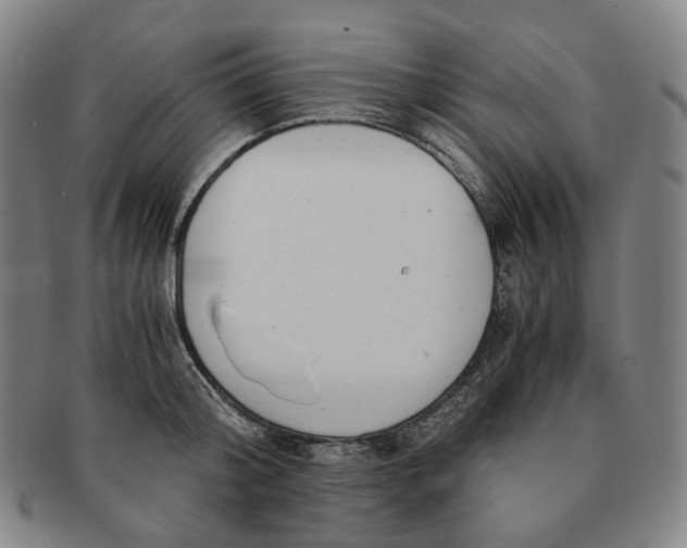 X0000091240804200708301537