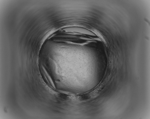 X0000091240805200708301537