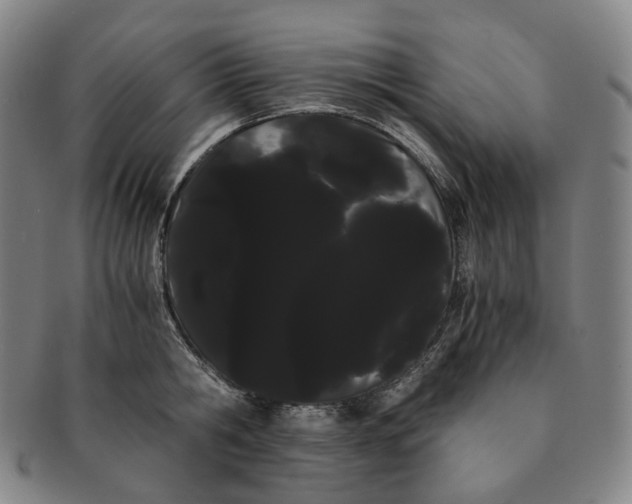 X0000091240806200708301537