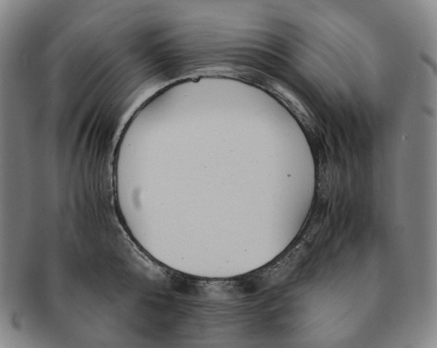 X0000091240808200708301537