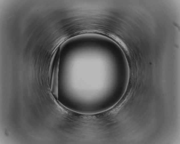 X0000091240809200708301537