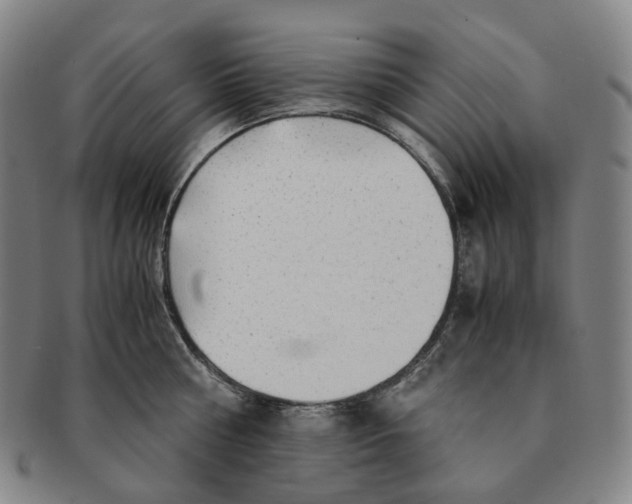 X0000091240810200708301537