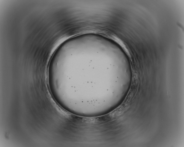 X0000091240811200708301537