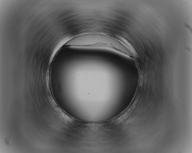 X0000091240812200708301537