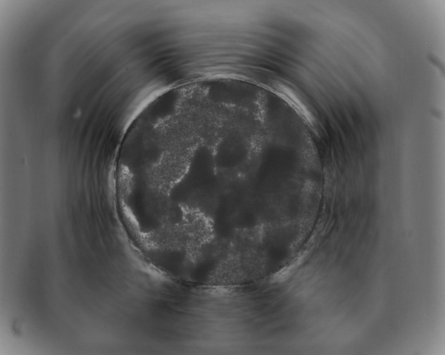 X0000091240814200708301537