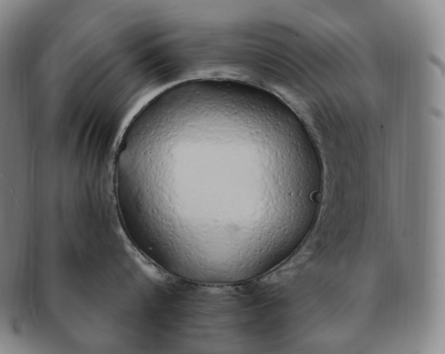 X0000091240816200708301537