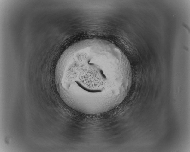 X0000091240817200708301536