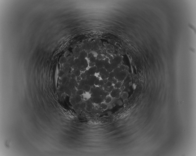 X0000091240818200708301536