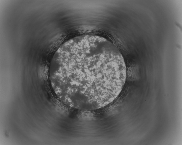 X0000091240820200708301536