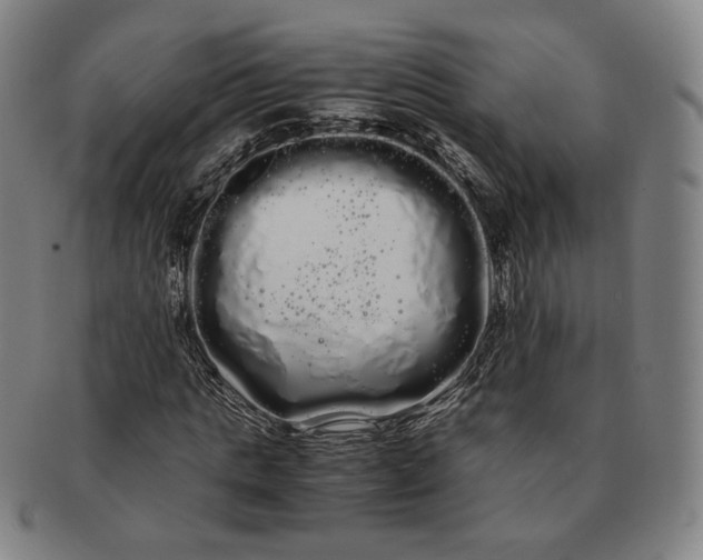 X0000091240821200708301536