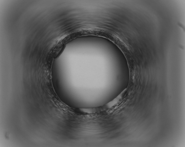 X0000091240822200708301536