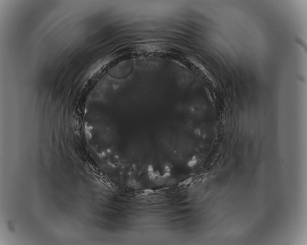 X0000091240823200708301536