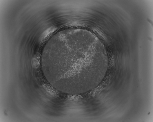 X0000091240824200708301536