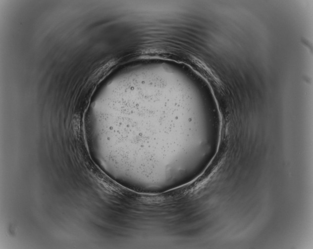 X0000091240825200708301536