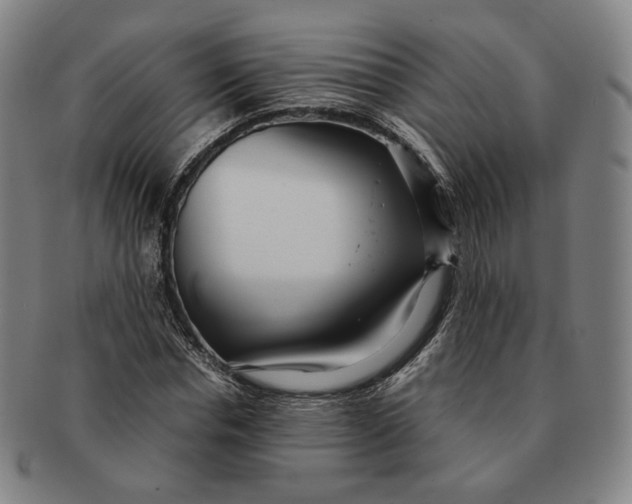 X0000091240826200708301536