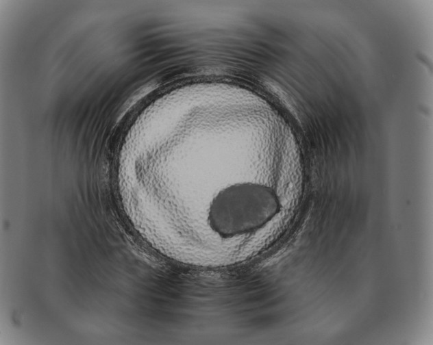 X0000091240827200708301536