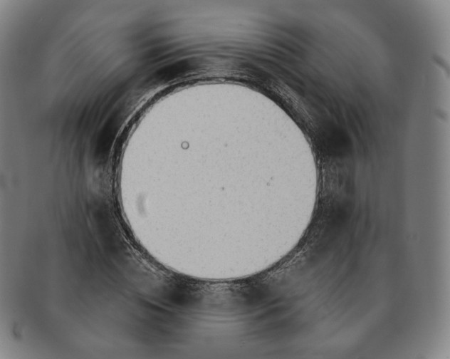 X0000091240828200708301536