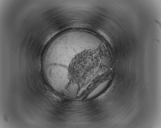 X0000091240829200708301536