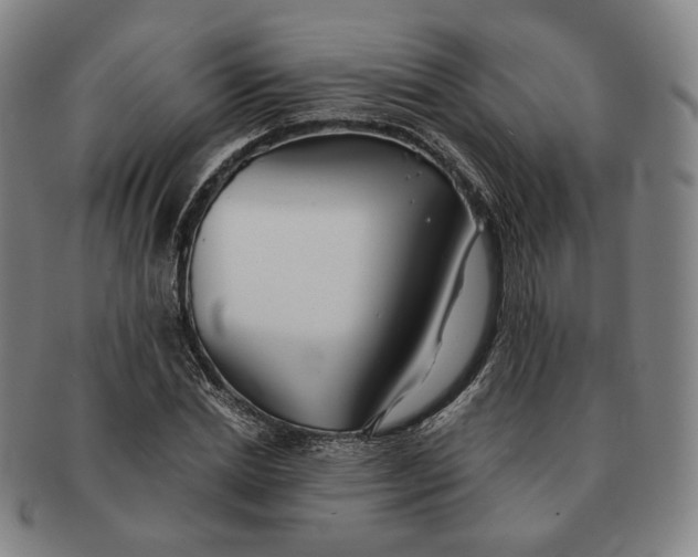 X0000091240830200708301536