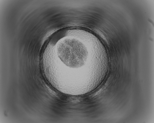 X0000091240831200708301536