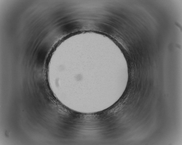 X0000091240832200708301536