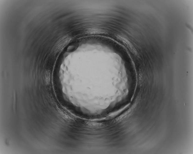 X0000091240833200708301536